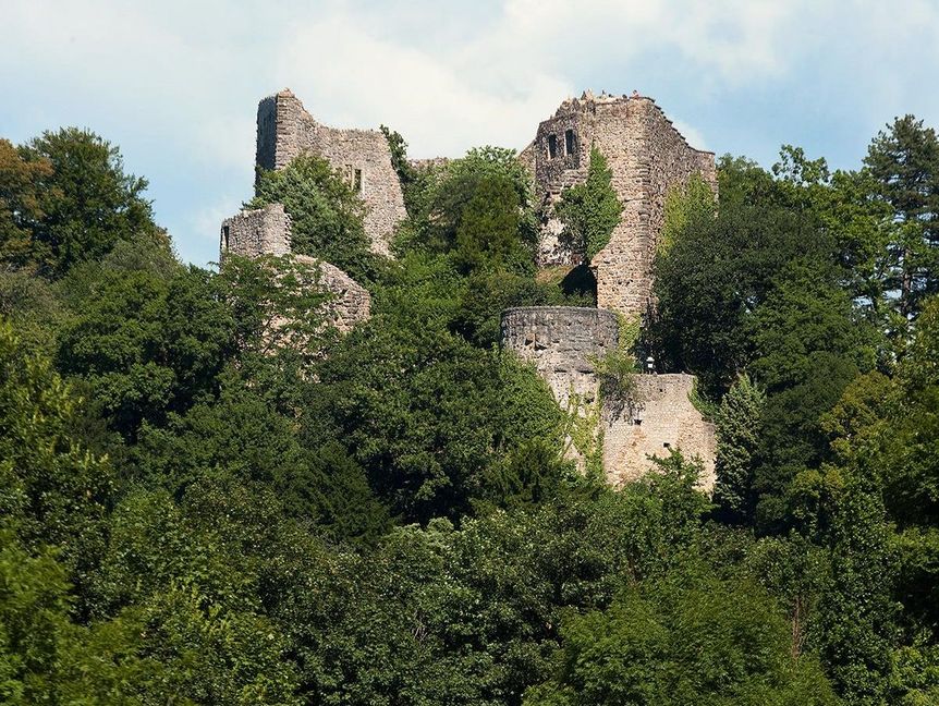 Burguine Badenweiler und weidende Kühe